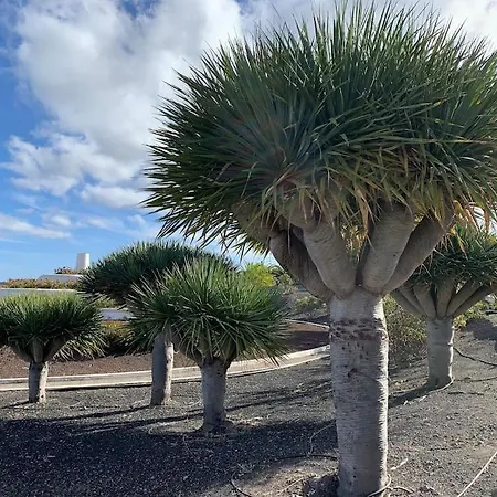El Secadero House Apartment