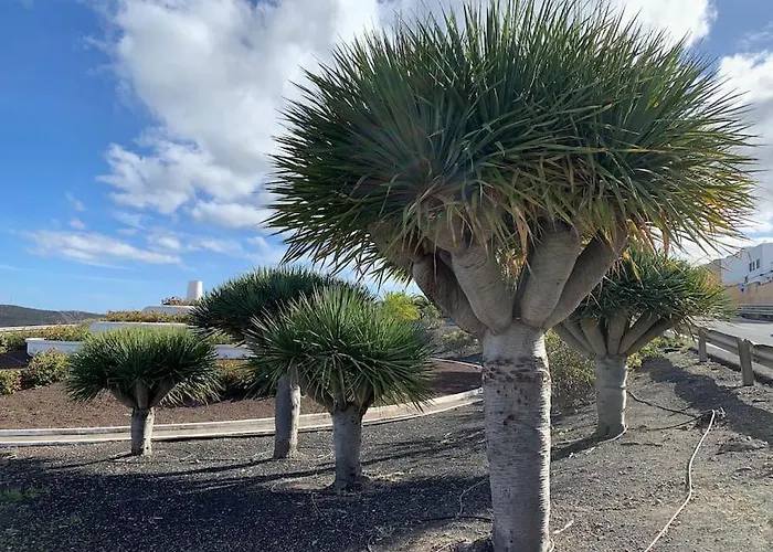 El Secadero House 아파트